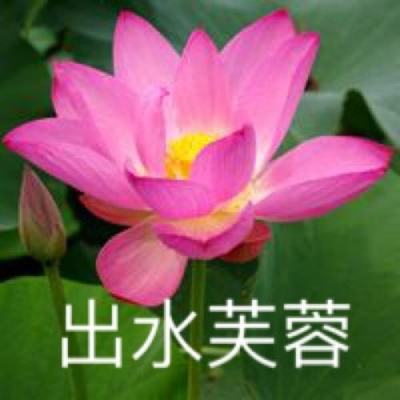 飞剑问仙变态版下载